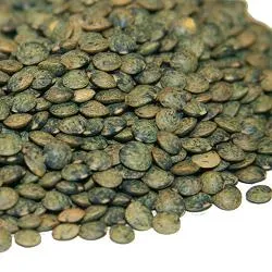 Organic to the Root Dark Puy Lentils