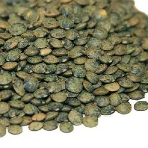 Organic to the Root Dark Puy Lentils