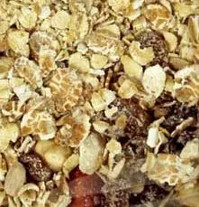 Organic to the Root Deluxe Muesli
