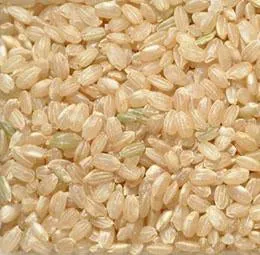Organic to the Root Short Grain Brown Rice